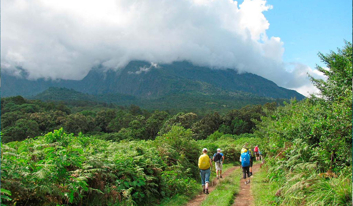 4 Days Mount Meru Trekking Trip in 2023,2024 & 2025 From Moshi or Arusha 